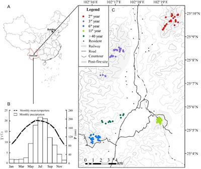 Beta Diversity Patterns of Post-fire Forests in Central Yunnan Plateau, Southwest China: Disturbances Intensify the Priority Effect in the Community Assembly